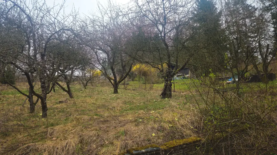 Záhradná chatka s pozemkom 758 m², Trenčianske Teplice – fotografia 3