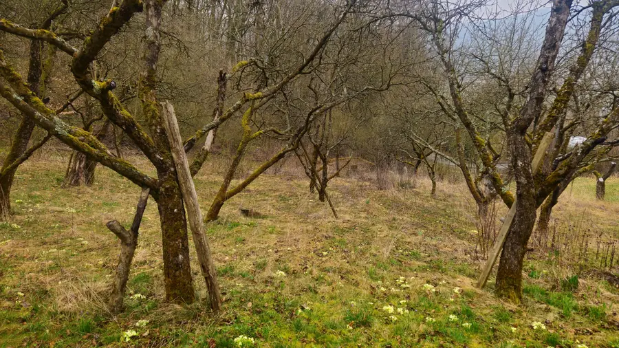 Záhradná chatka s pozemkom 758 m², Trenčianske Teplice – fotografia 4