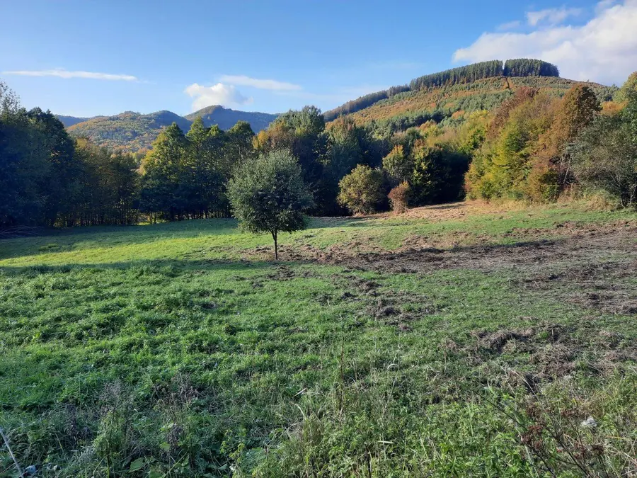 Rekreačný pozemok 3 611 m², Zubák